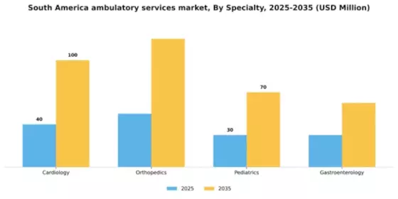 South America Ambulatory Services Market Segment Image 1