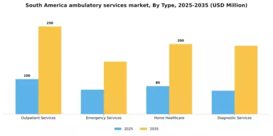 South America Ambulatory Services Market Segment Image 3