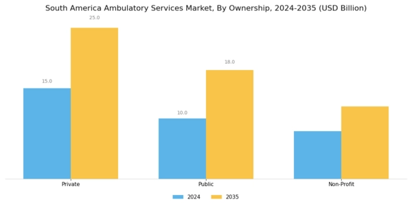 South America Ambulatory Services Market Segment Image 1