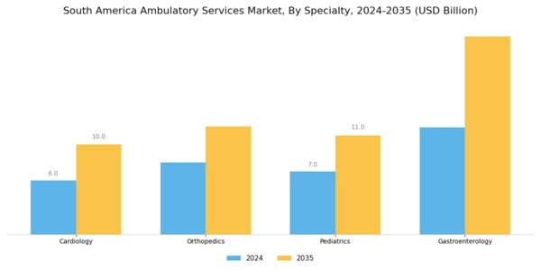 South America Ambulatory Services Market Segment Image 2