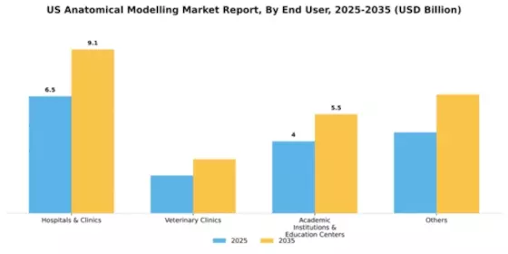 US Anatomical Modelling Market Segment Image 0