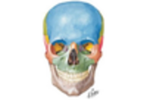 US Anatomical Modelling Market key player