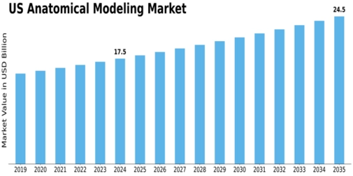 US Anatomical Modelling Market Size