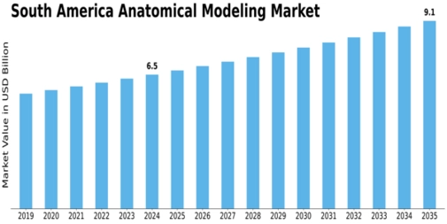 South America Anatomical Modelling Market Size