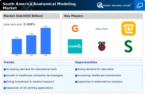 South America Anatomical Modelling Market Infographic