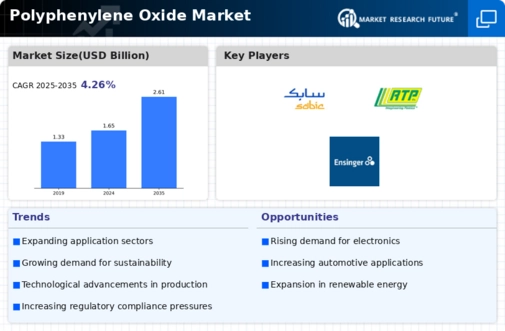 Polyphenylene Oxide Market Infographic
