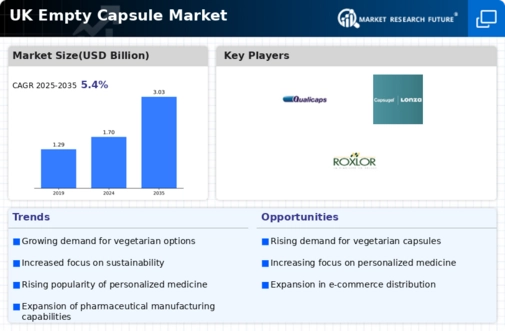 UK Empty Capsule Market Infographic