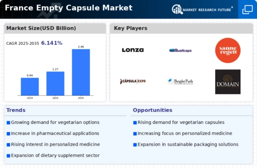 France Empty Capsule Market Infographic