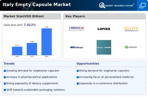 Italy Empty Capsule Market Infographic