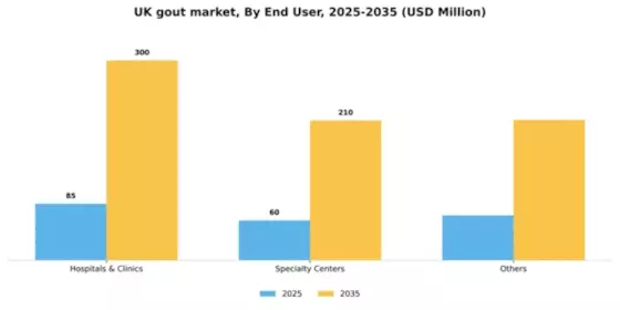 UK Gout Market Segment Image 1