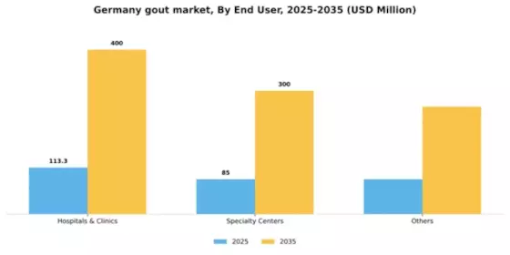 Germany Gout Market Segment Image 1