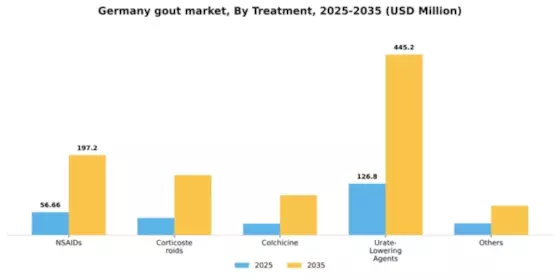 Germany Gout Market Segment Image 2