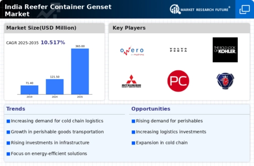 India Reefer Container Genset Market Infographic