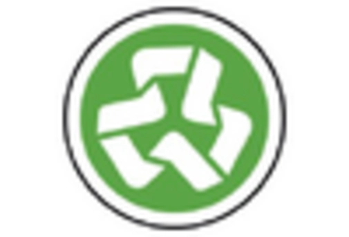 China Recovered Carbon Black Market key player