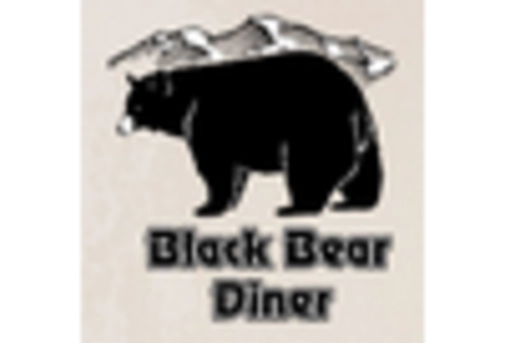 Brazil Recovered Carbon Black Market key player