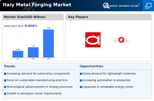 Italy Metal Forging Market Infographic