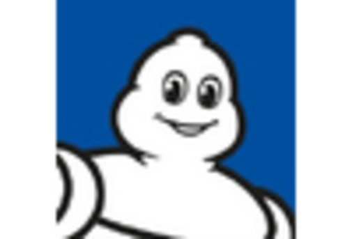 Mexico Recovered Carbon Black Market key player