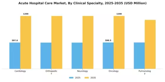 Acute Hospital Care Market Segment Image 1