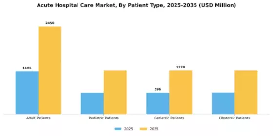Acute Hospital Care Market Segment Image 2