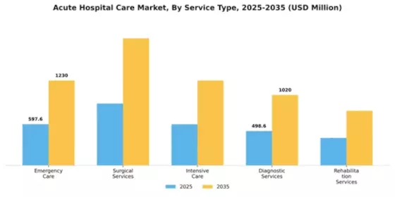 Acute Hospital Care Market Segment Image 4