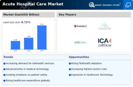 Acute Hospital Care Market Infographic