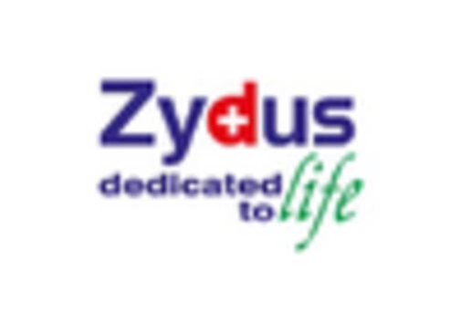 India Atorvastatin API Market key player