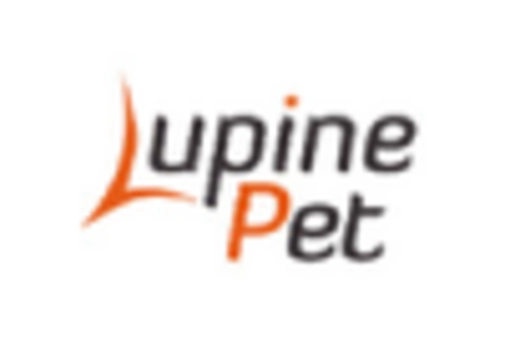 India Atorvastatin API Market key player