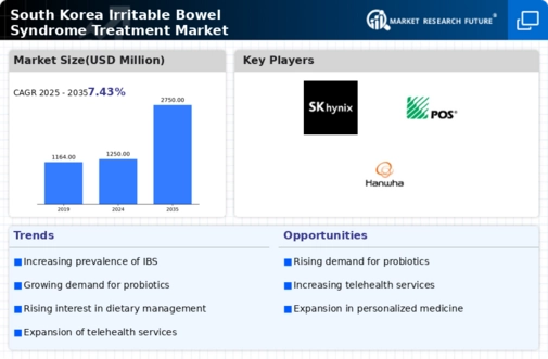 South Korea Irritable Bowel Syndrome Treatment Market Infographic