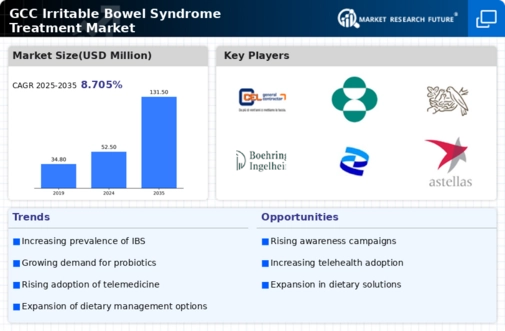 GCC Irritable Bowel Syndrome Treatment Market Infographic