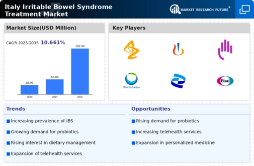 Italy Irritable Bowel Syndrome Treatment Market Infographic