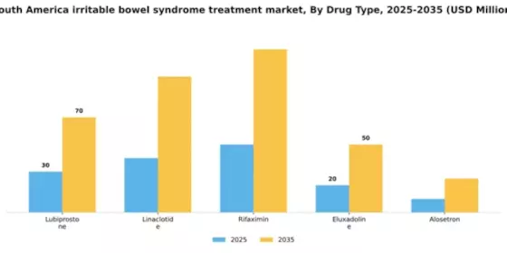 South America Irritable Bowel Syndrome Treatment Market Segment Image 0