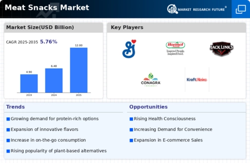 Meat Snacks Market Infographic