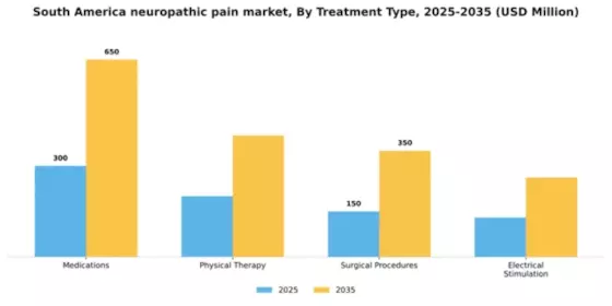 South America Neuropathic Pain Market Segment Image 2