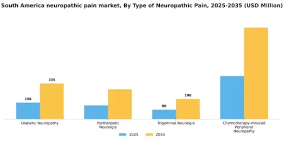 South America Neuropathic Pain Market Segment Image 3