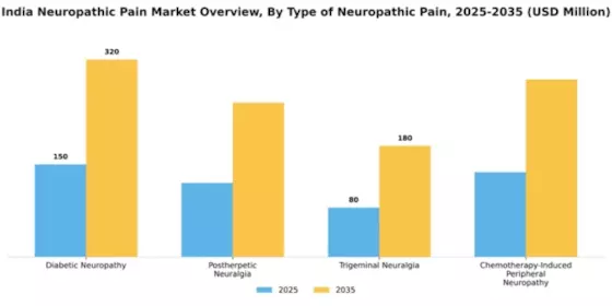 India Neuropathic Pain Market Segment Image 3