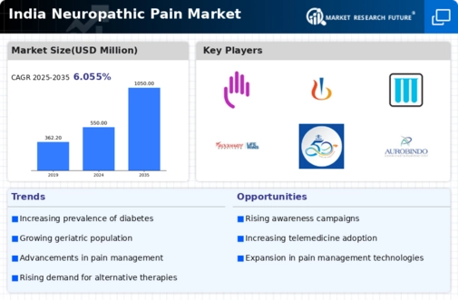 India Neuropathic Pain Market Infographic