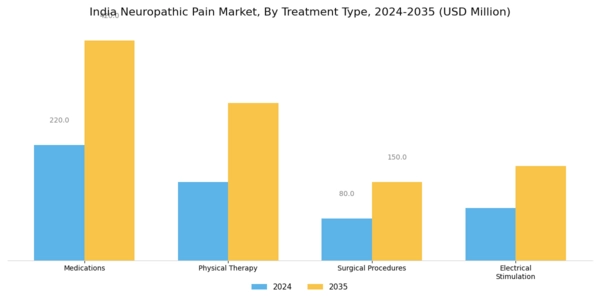India Neuropathic Pain Market Segment Image 1