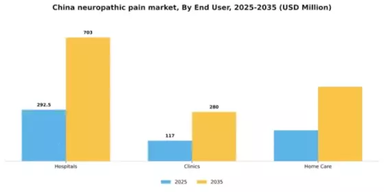 China Neuropathic Pain Market Segment Image 0