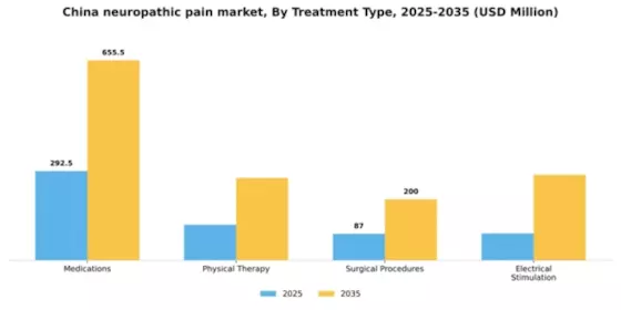 China Neuropathic Pain Market Segment Image 2