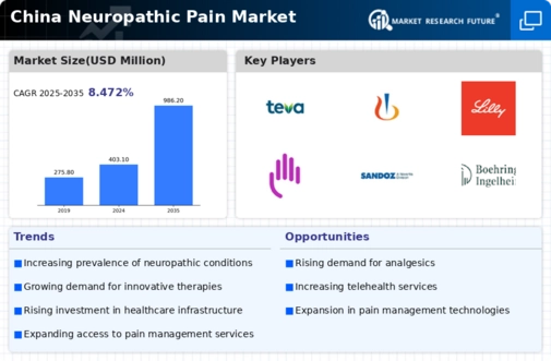 China Neuropathic Pain Market Infographic