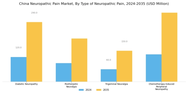 China Neuropathic Pain Market Segment Image 0