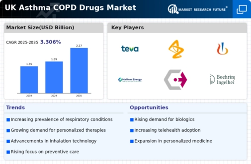 UK Asthma COPD Drugs Market Infographic