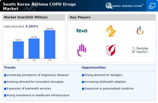 South Korea Asthma COPD Drugs Market Infographic
