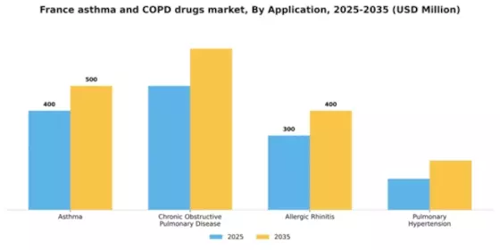 France Asthma COPD Drugs Market Segment Image 0