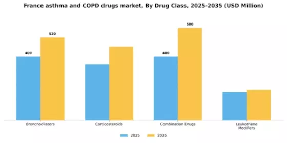 France Asthma COPD Drugs Market Segment Image 1