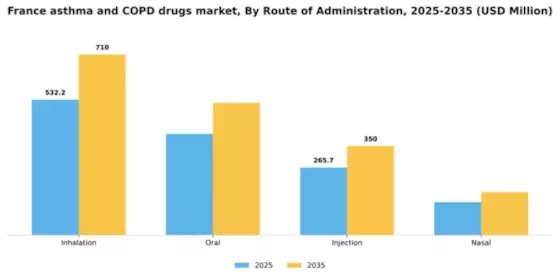 France Asthma COPD Drugs Market Segment Image 3