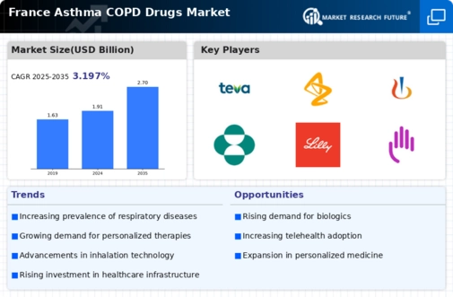 France Asthma COPD Drugs Market Infographic