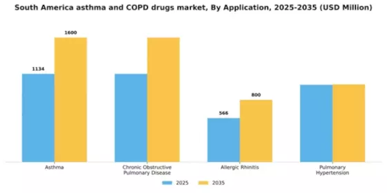 South America Asthma COPD Drugs Market Segment Image 0