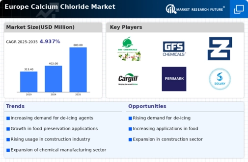 Europe Calcium Chloride Market
 Infographic