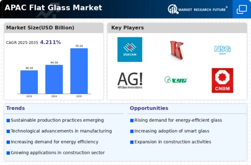 APAC Flat Glass Market
 Infographic